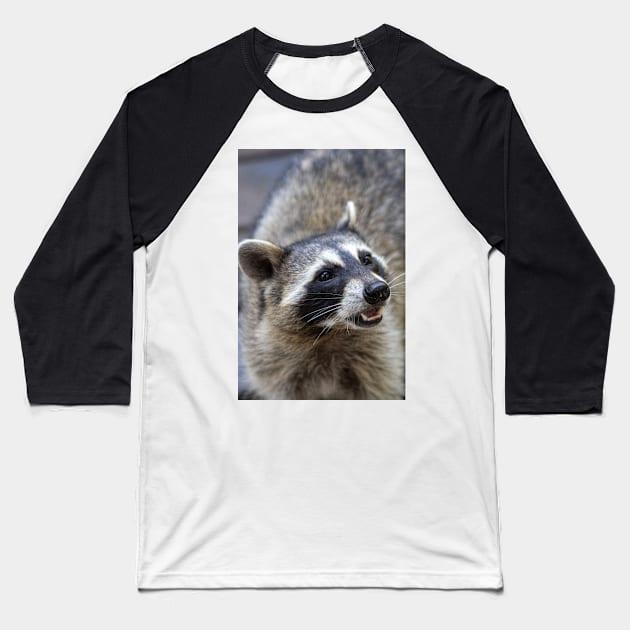 Beautiful Raccoon Print Baseball T-Shirt by astonishingemma